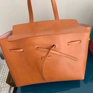 Mansur Gavriel Lady Bag